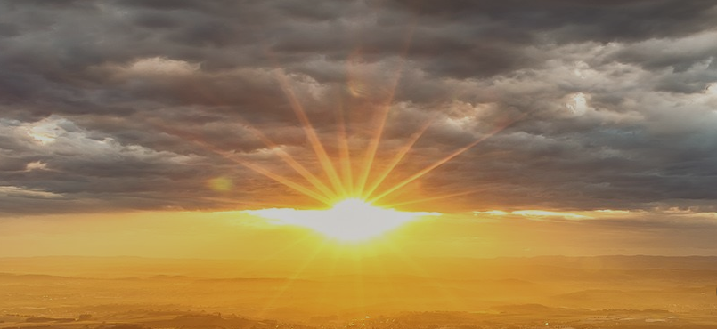 Imagen de portada del foco