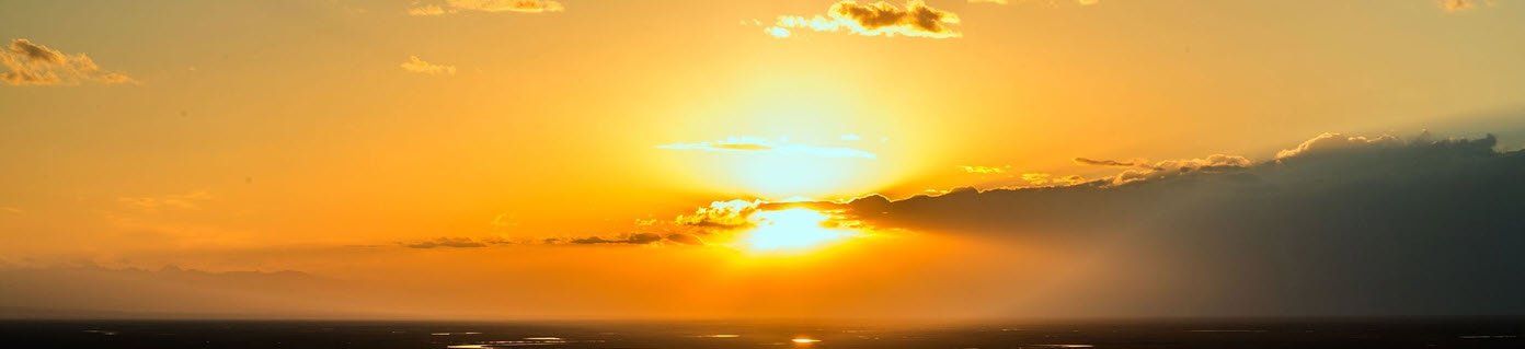 Imagen de portada del foco